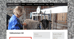 Desktop Screenshot of berglock.se