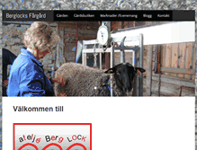 Tablet Screenshot of berglock.se